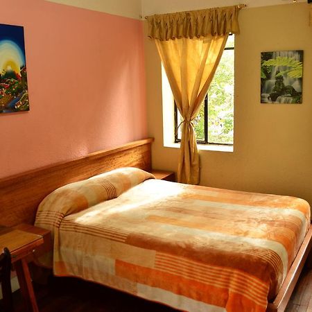 Hostal Loro Verde กีโต ภายนอก รูปภาพ